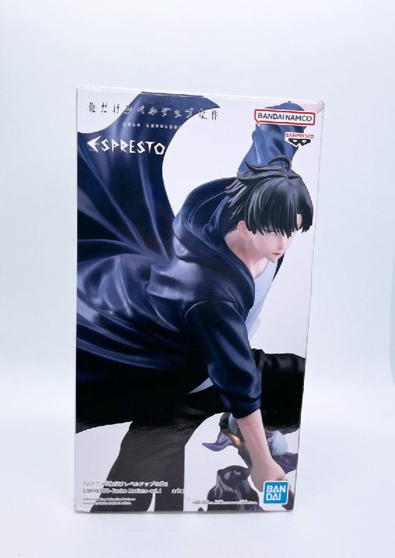 Figura Sung Jin-Woo Leveling