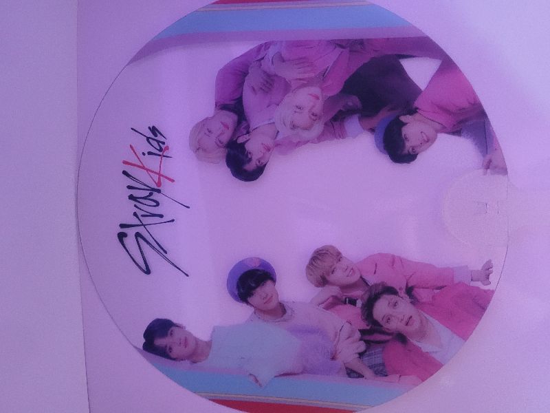 Abanico grande stray kids
