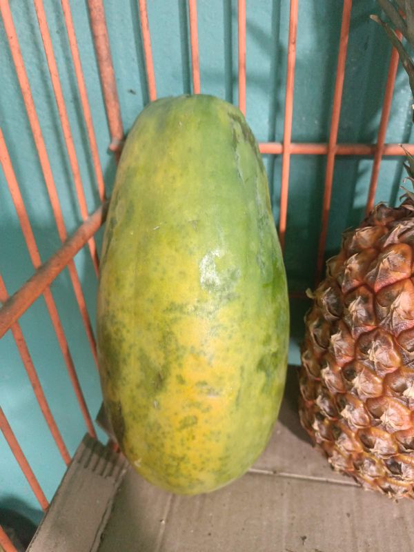 Lechoza