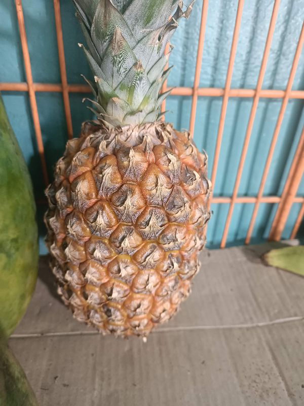 Piña