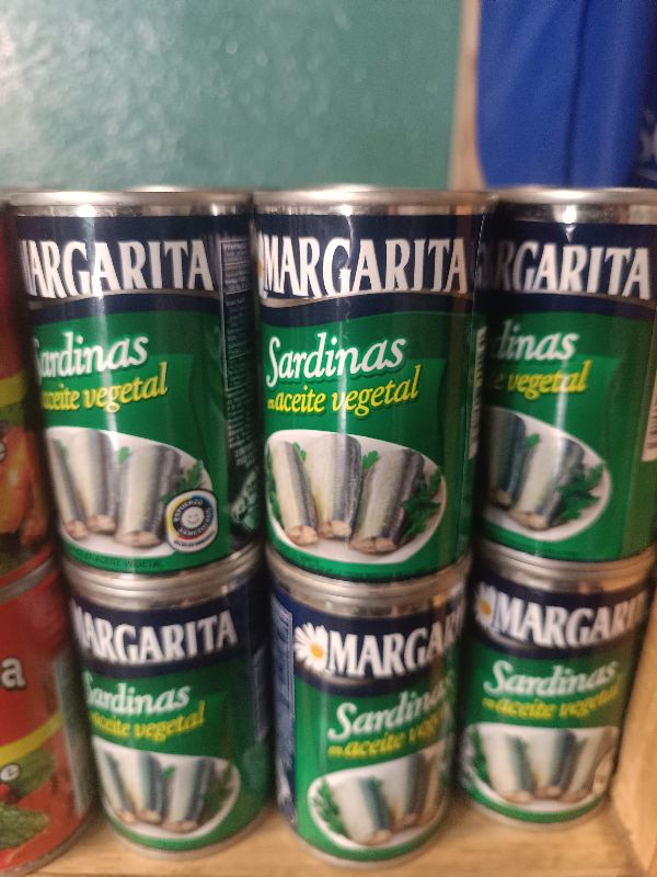 Sardina Margarita Aceite