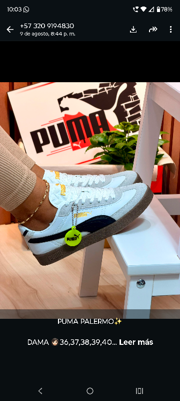 Puma blanco negro