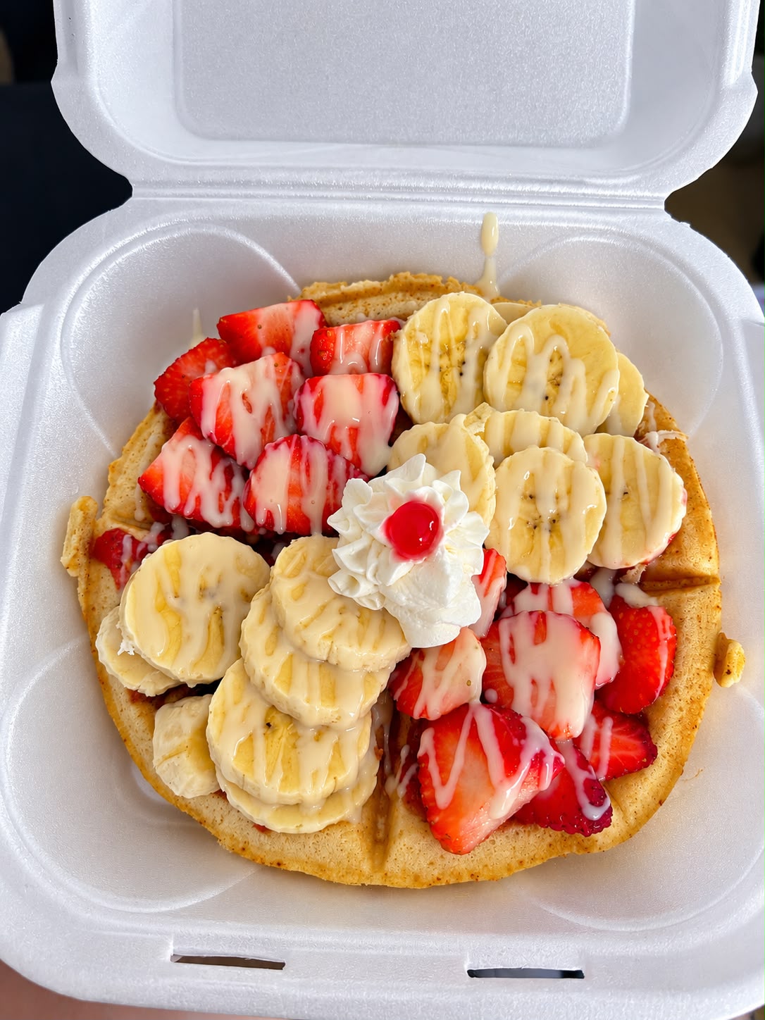 WAFLE FRUTA FIESTA MIX