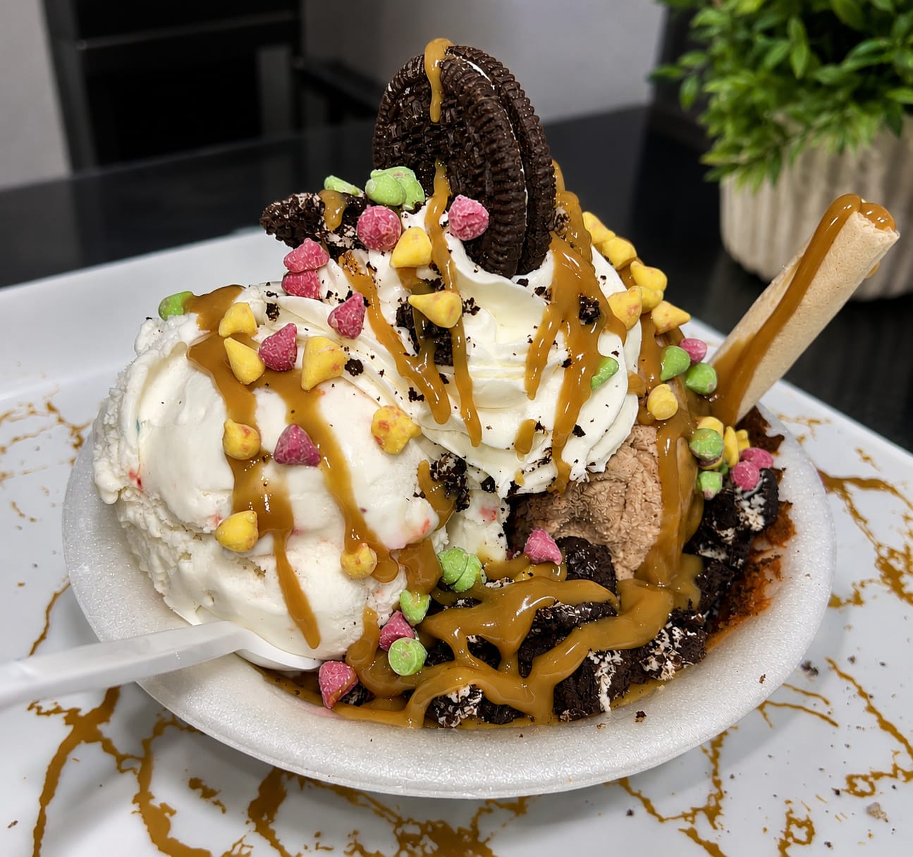 BOWL DOBLE