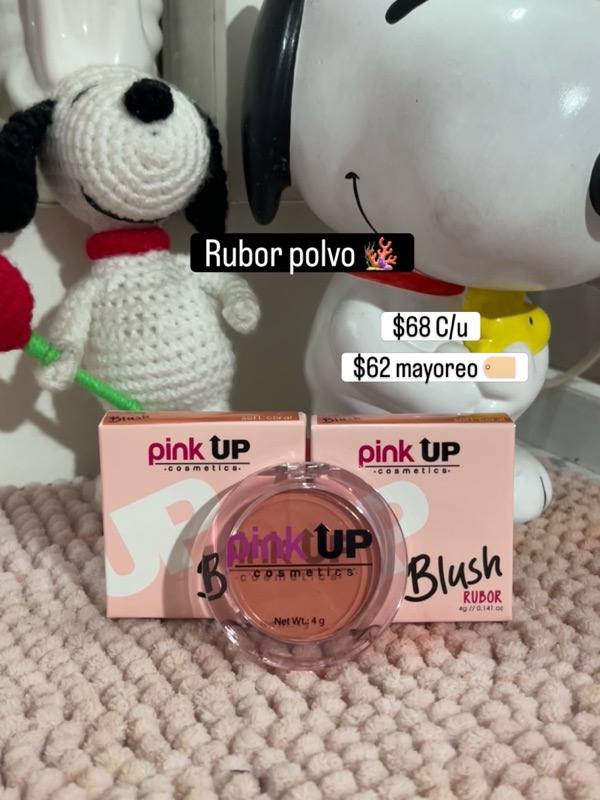 Rubor polvo