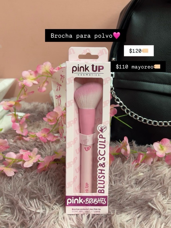 Brocha Polvo Rubor