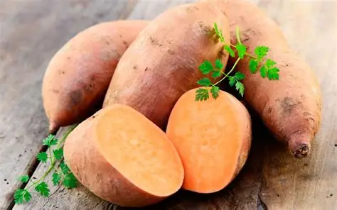 H-Batata con leche