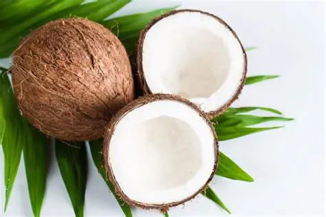 H-Coco crema