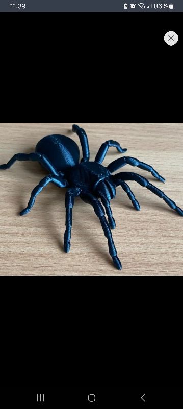 Araña