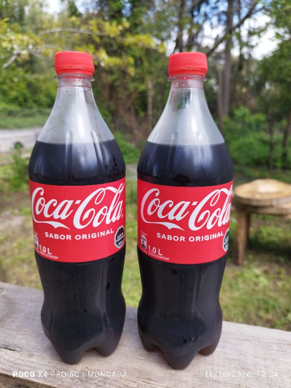 coca-cola 1lt