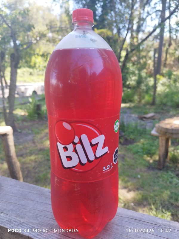 bilz 3L