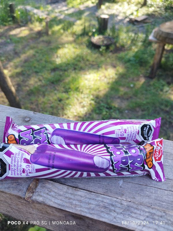 palito Mora