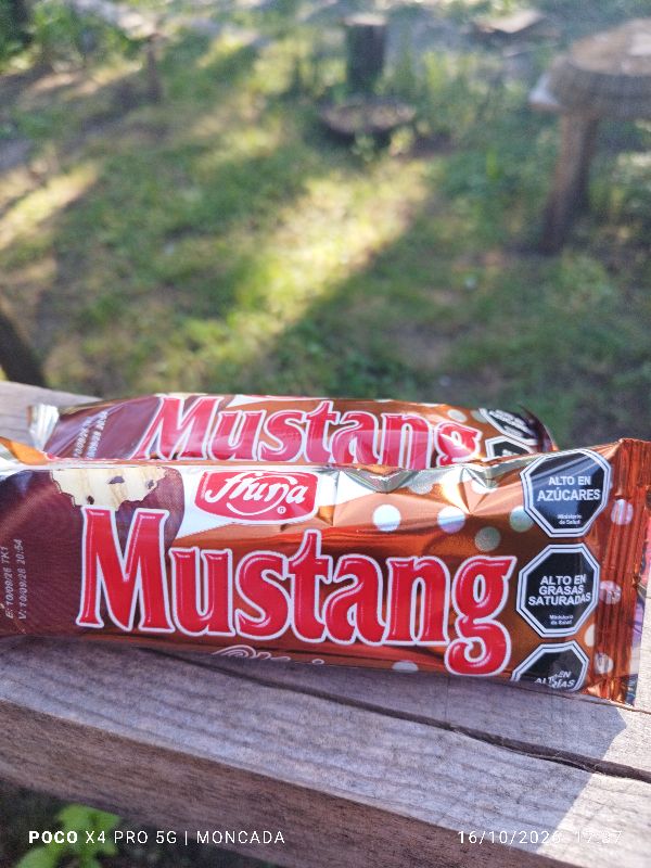 Mustang clásico