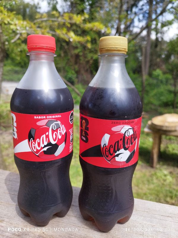 Coca-Cola 591