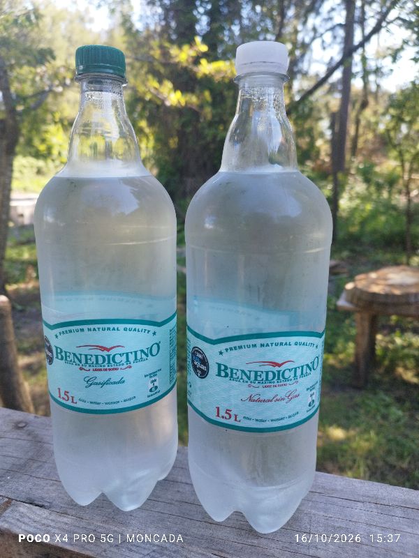 benedictino 1.5 sin gas