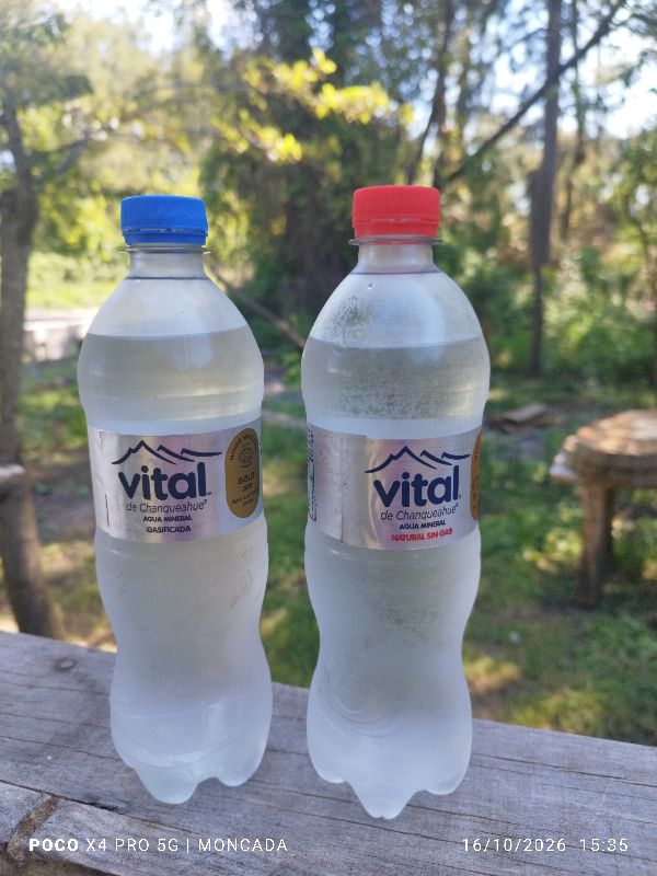 agua vital 600ml s/g