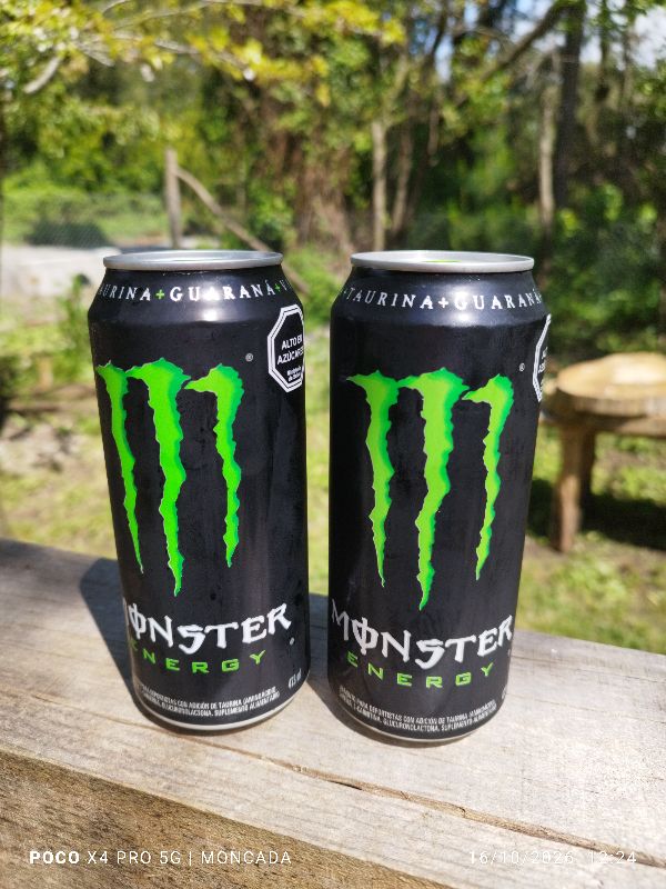 Monster Energy