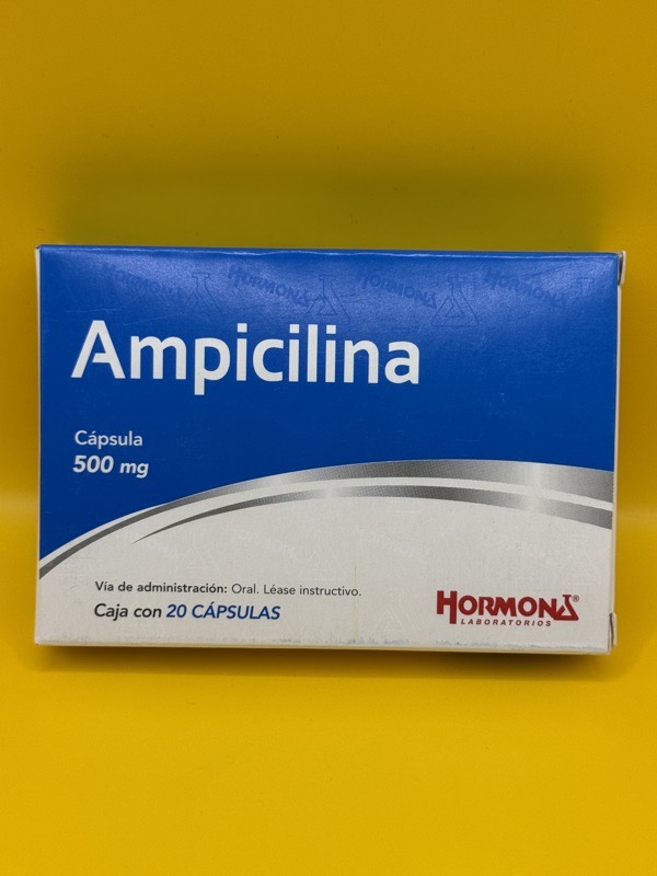 AMPICILINA HORMONA