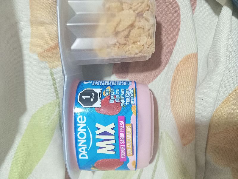 Mix Danone Varios Sabores 336g