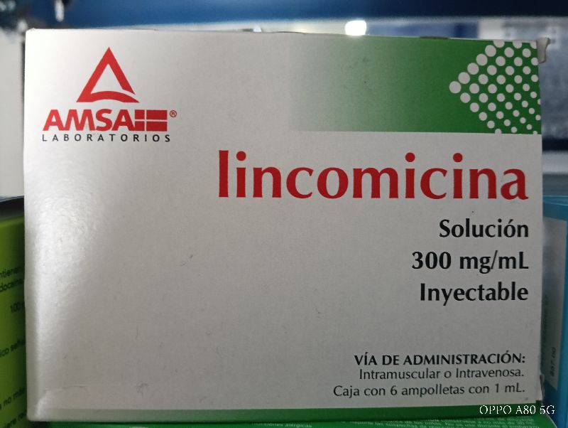 Lincomicina 300 mg / mL