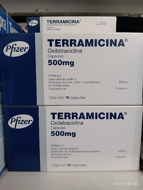 TERRAMICINA 500 mg