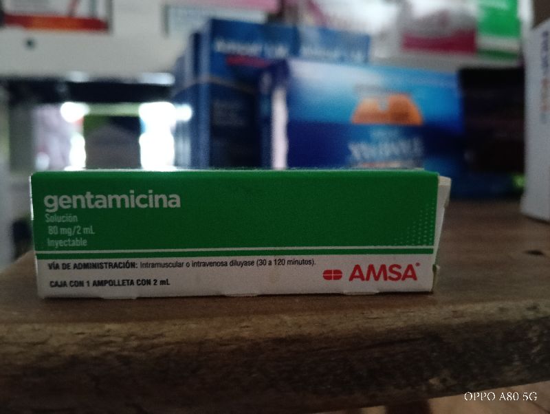 Gentamicina