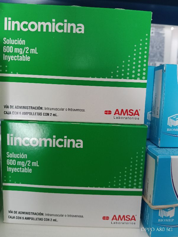 Lincomicina 600 mg