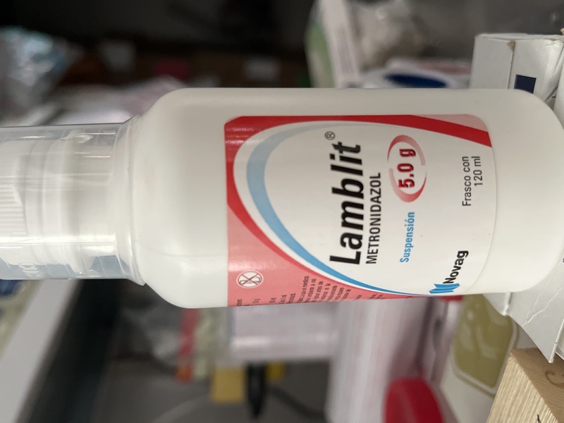 Lamblit