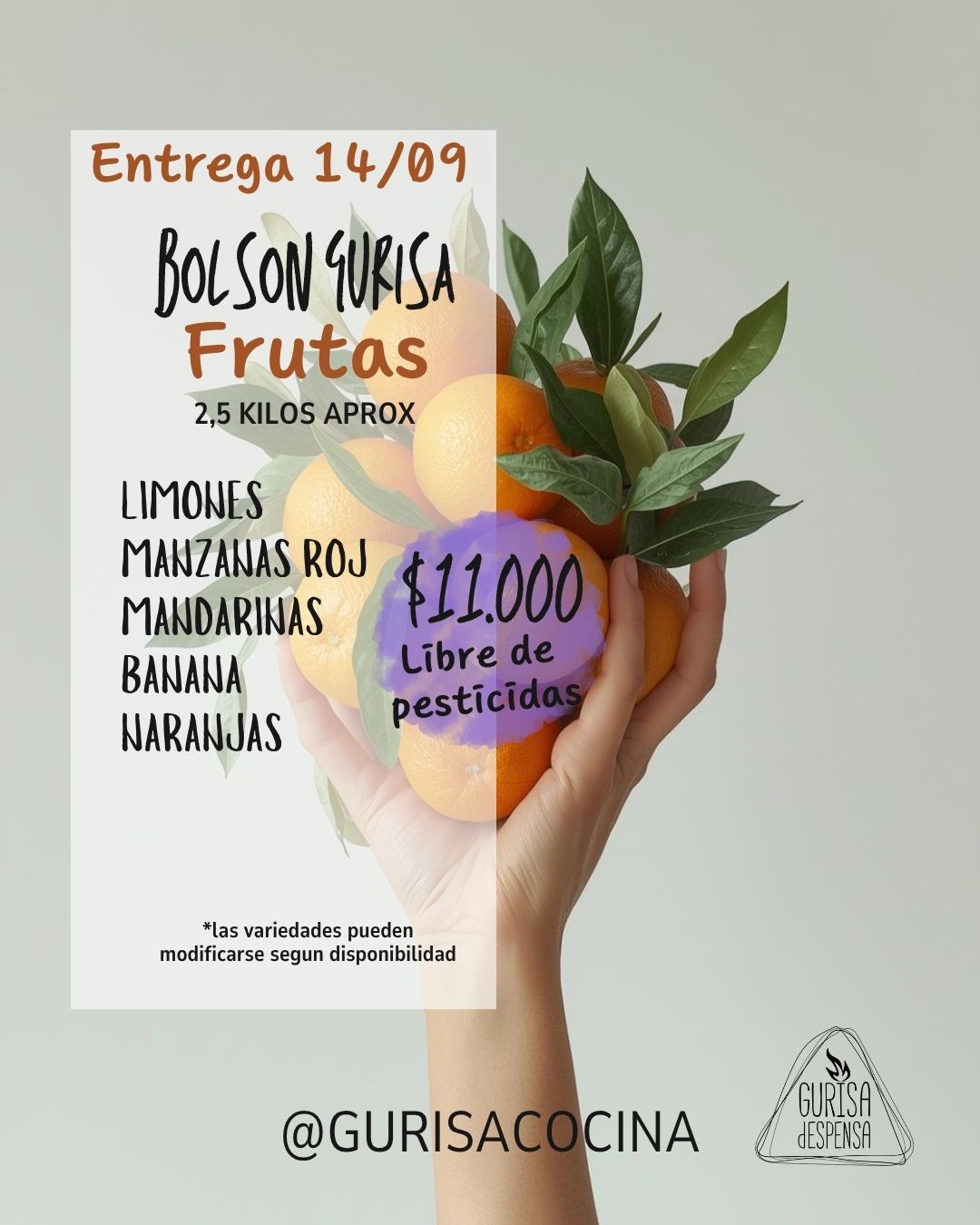 BOLSON FRUTAL AGROECOLOGICO