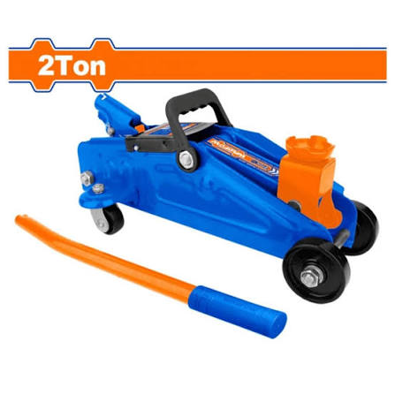 GATA CAIMAN  DE 2TON