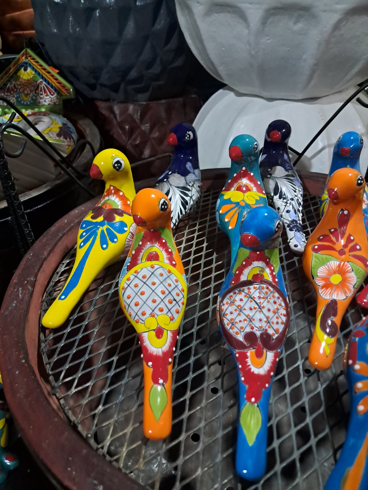 pajaro colgante