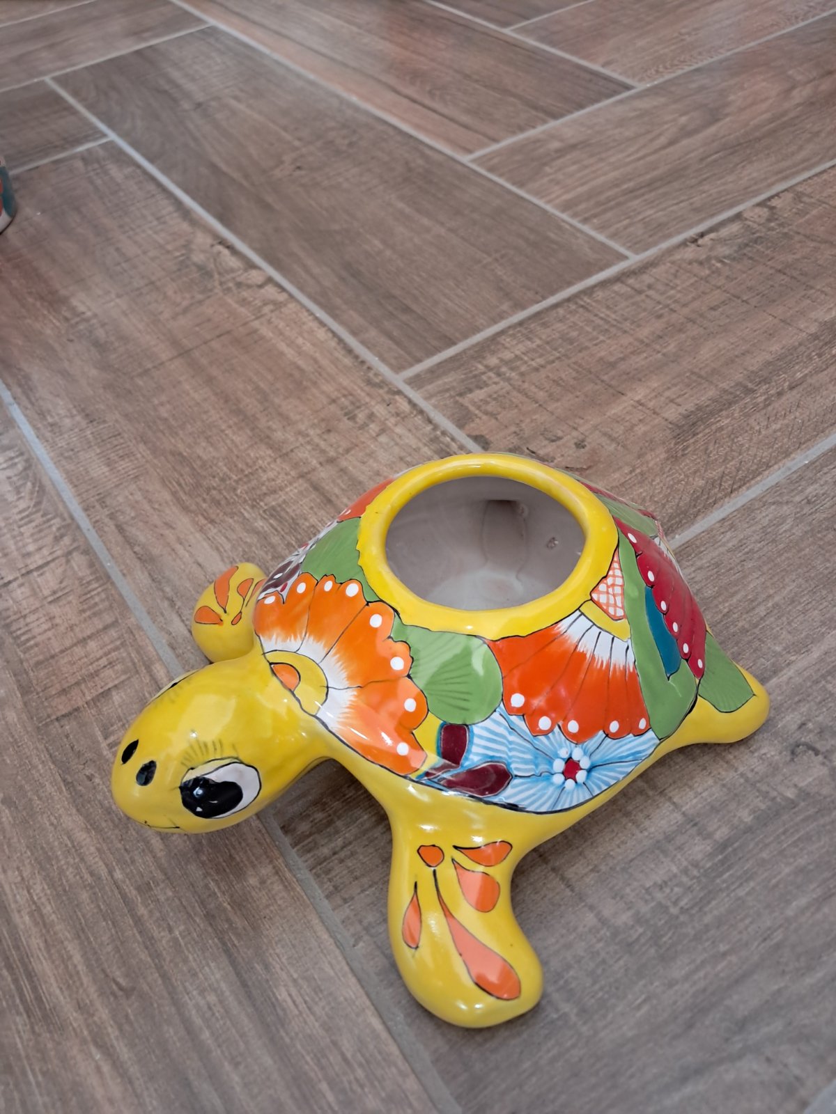 tortuga maceta