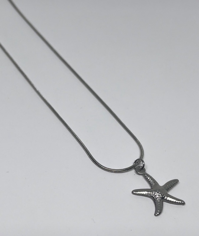 COLLAR PLATEADO CPEM