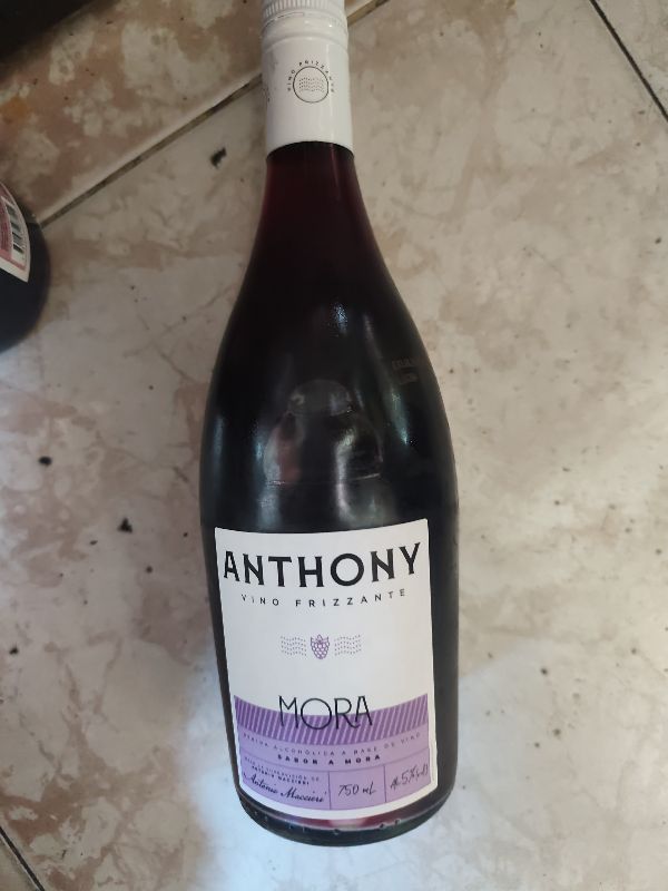 Anthony Botella Mora
