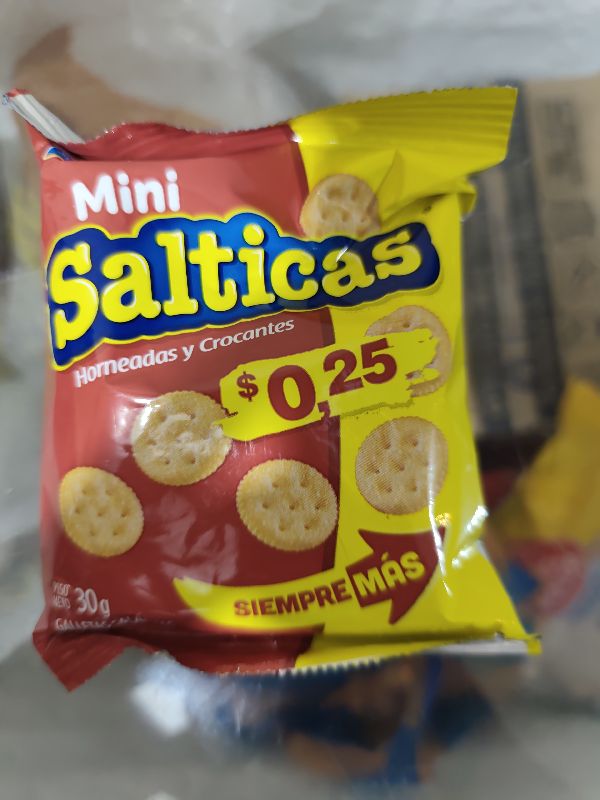 Mini Salticas