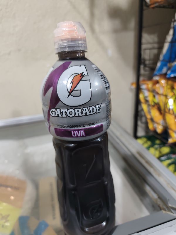 Gatorade Morado Grande