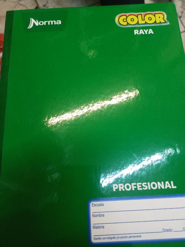LIBRETA NORMA PROF. COS. RAYA