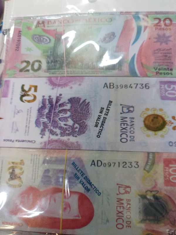 BILLETE DIDÁCTICO