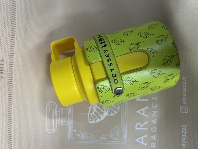 Odyssey Limoni