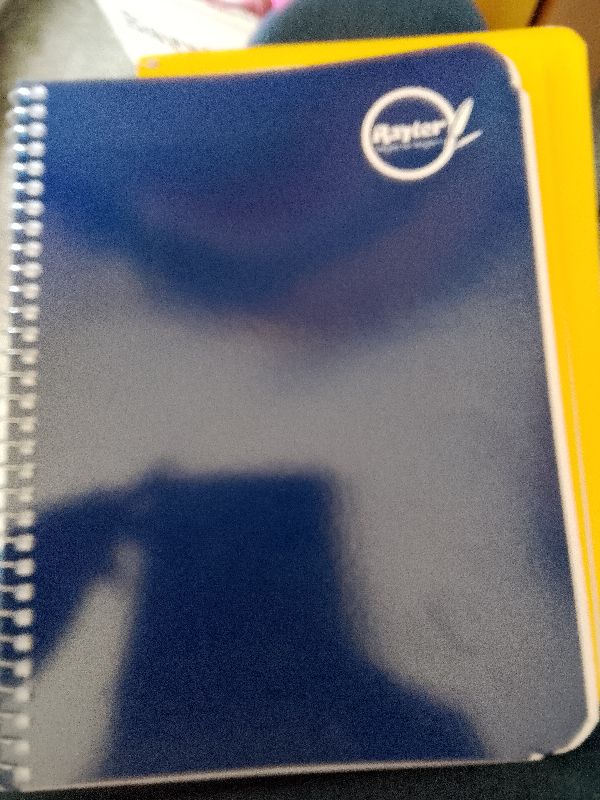cuaderno frances raya rayter 100hj