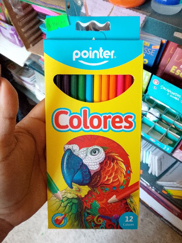 colores pointer largos 12pz