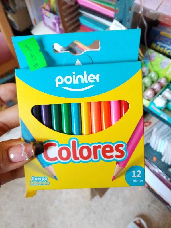 colores pointer corto 12pz