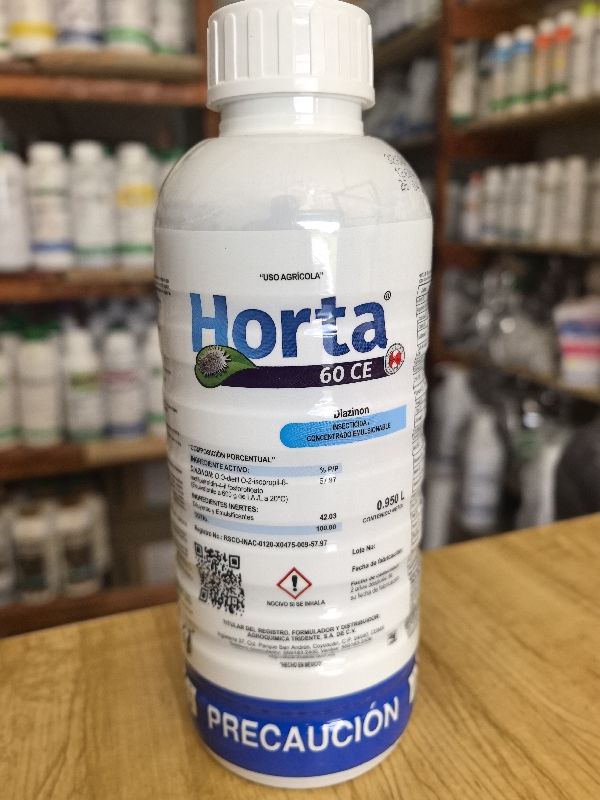 Horta 60 CE