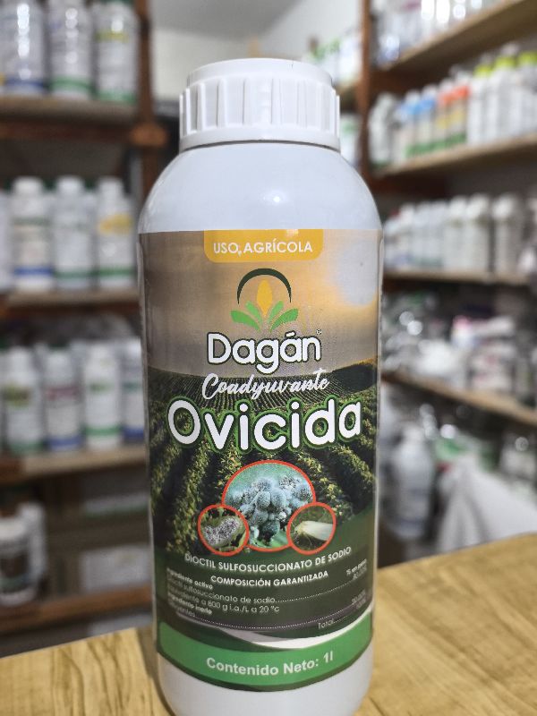 Dagan Ovicida