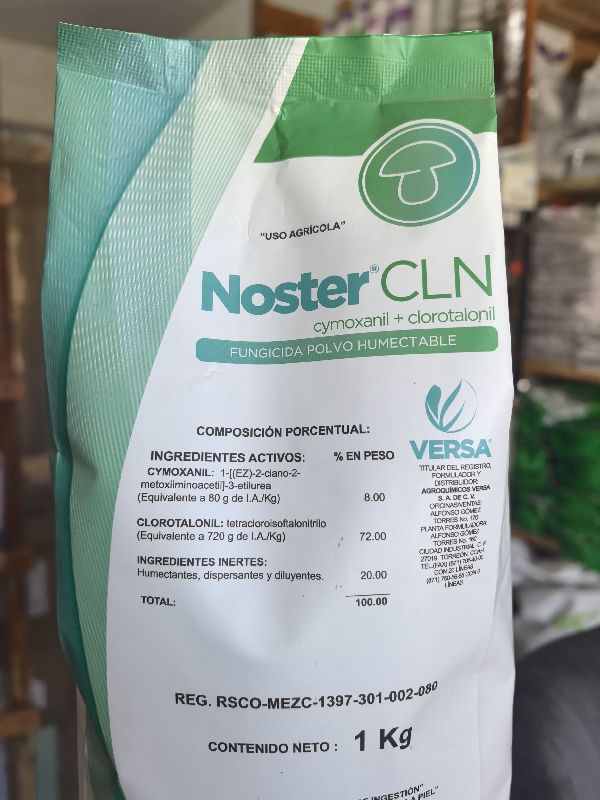 Noster CLN