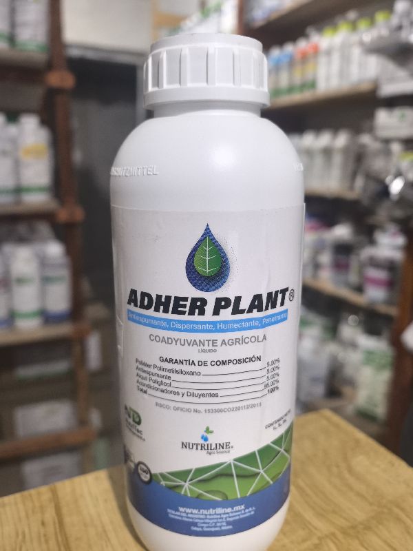 Adher Plant
