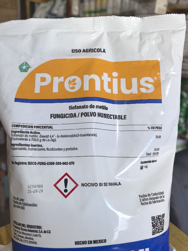 Prontius