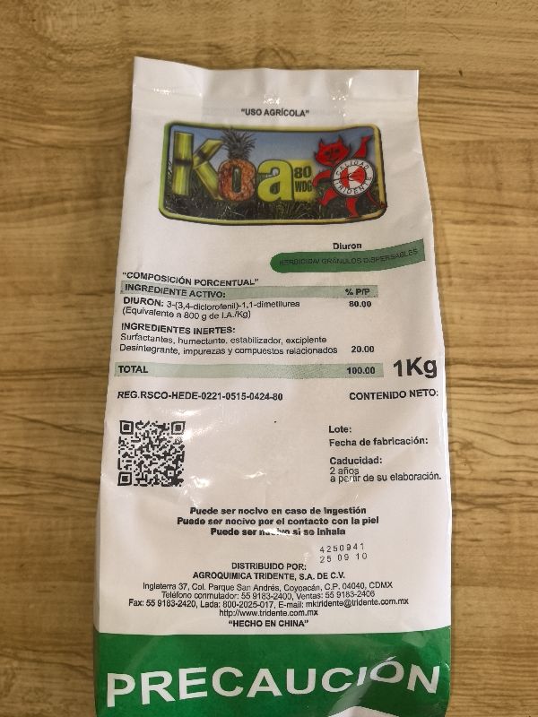 Koa 80 WDG