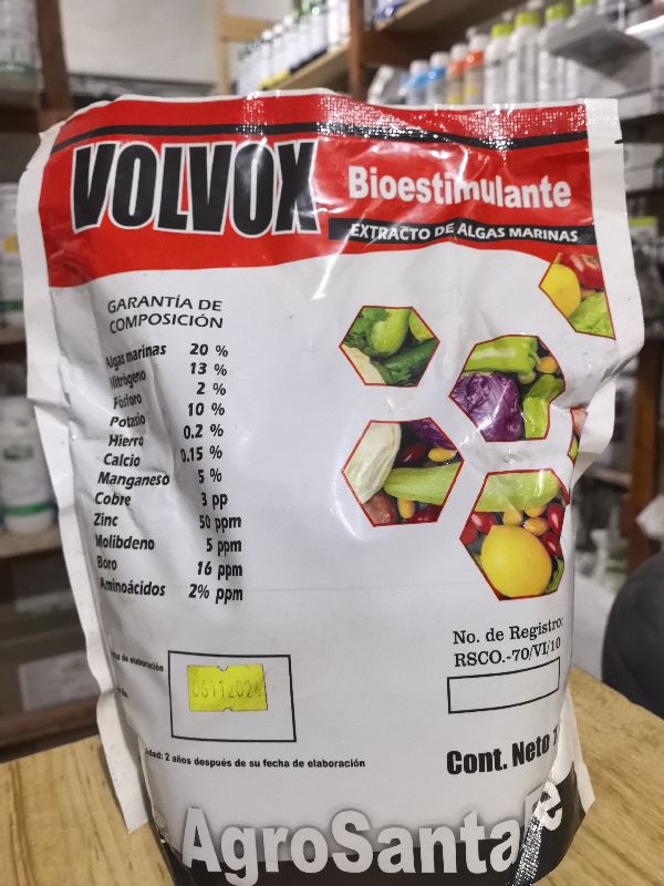 Volvox