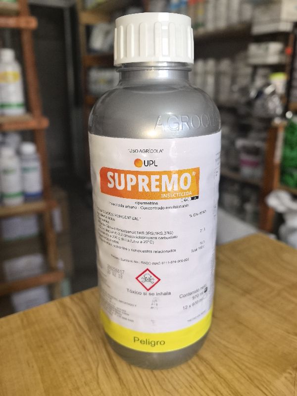 Supremo